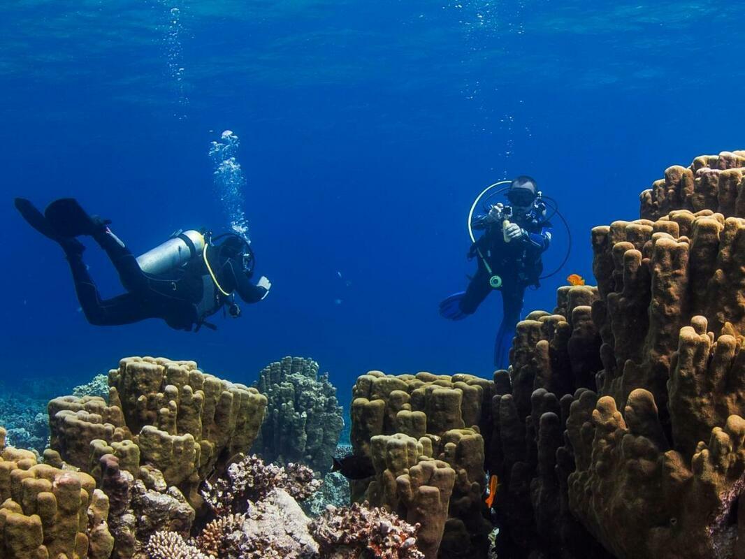 Красное море Дахаб