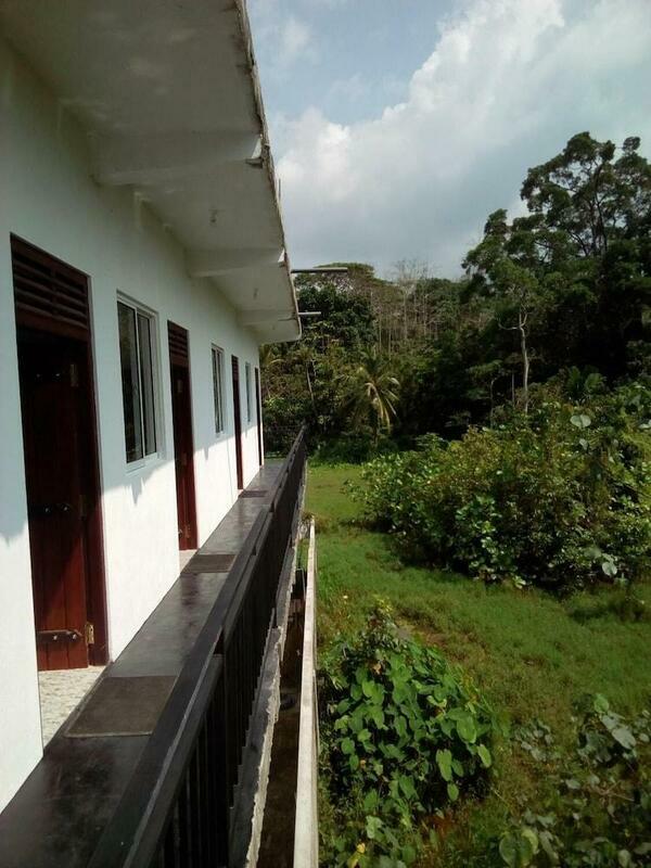 Image description