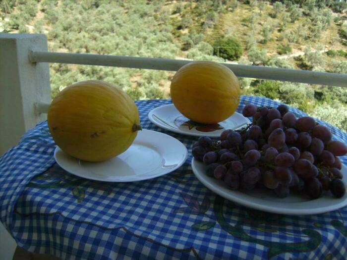 Image description