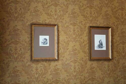 Image description