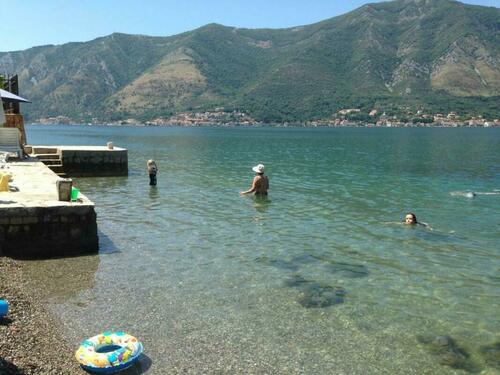 Image description