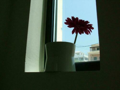 Image description