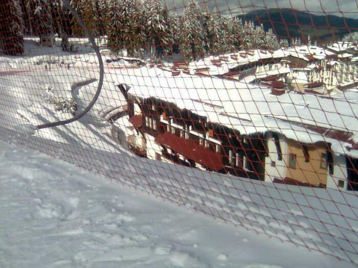 Image description