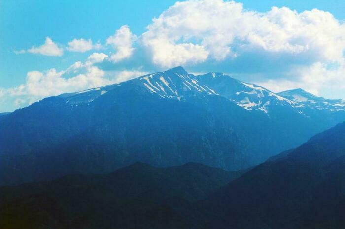 Image description