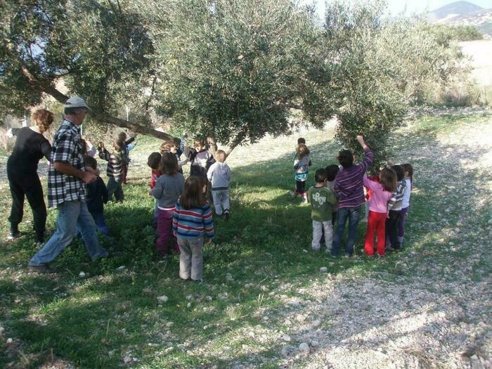 Image description