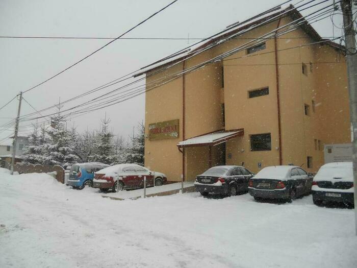 Image description
