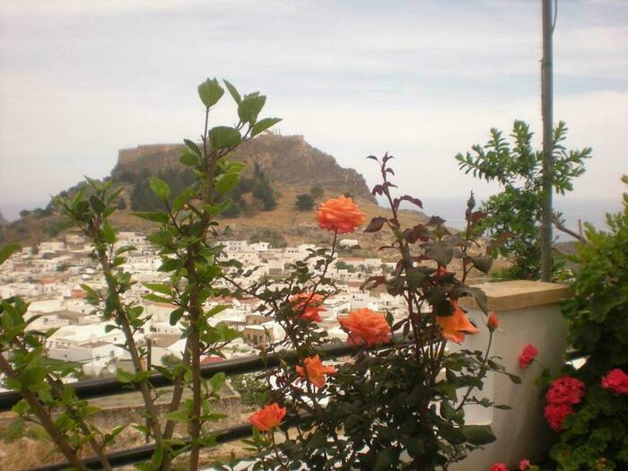 Image description