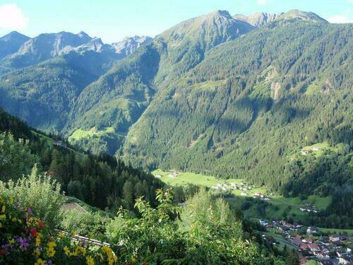 Image description