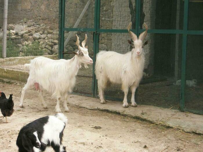 Image description