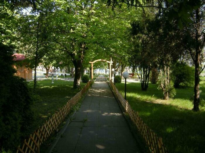 Image description