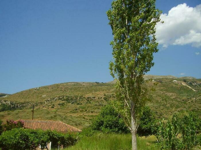 Image description