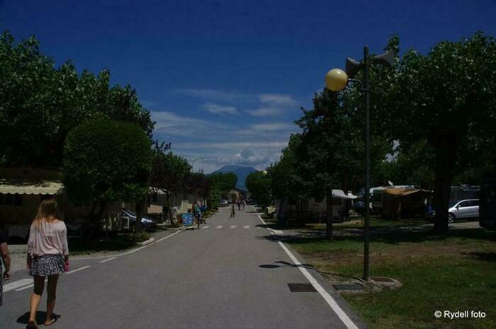 Image description