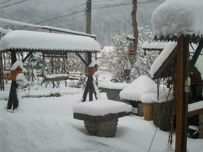 Image description