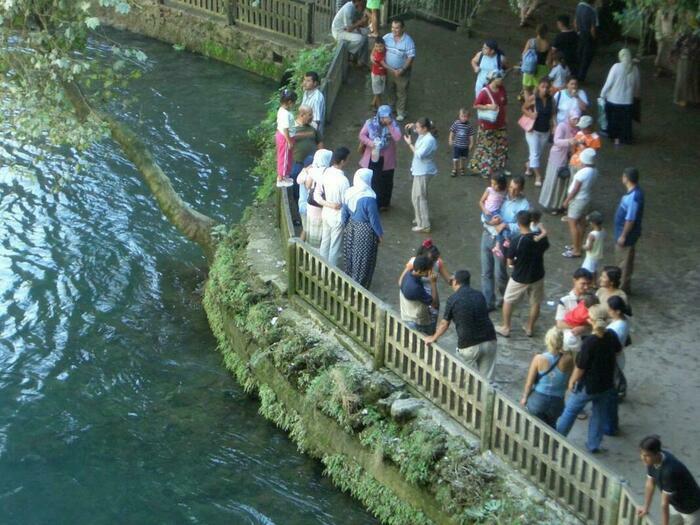 Image description
