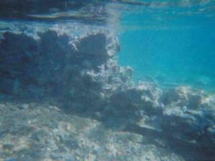 Image description