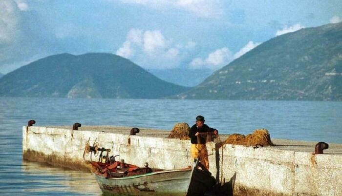 Image description