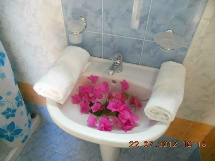 Image description