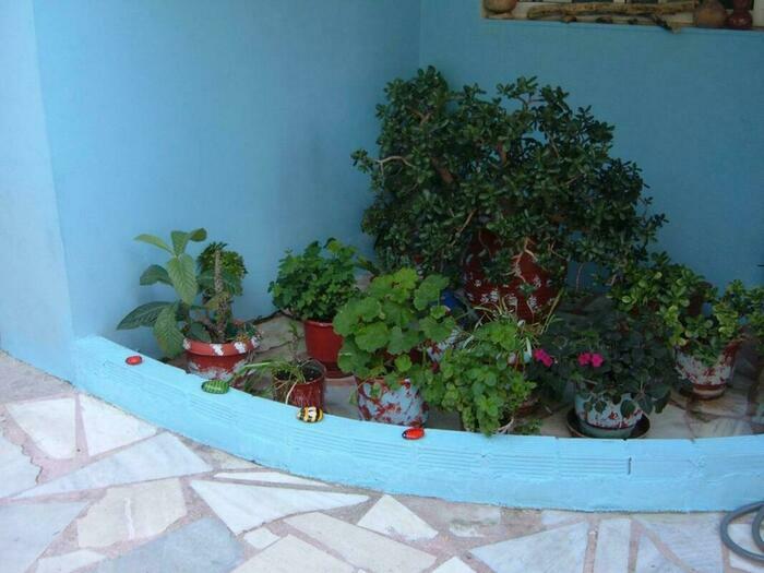 Image description