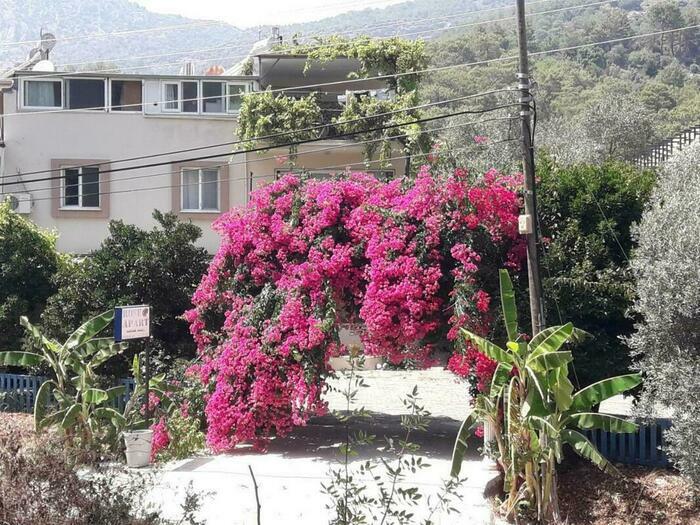 Image description