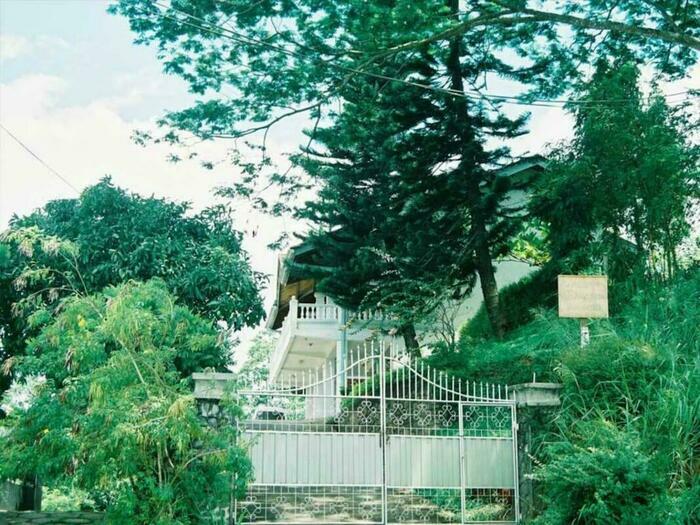Image description