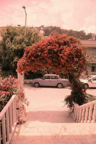Image description