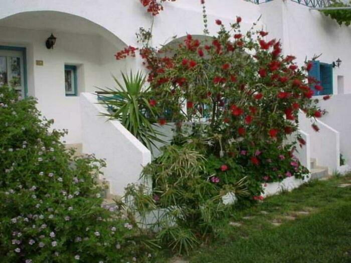 Image description