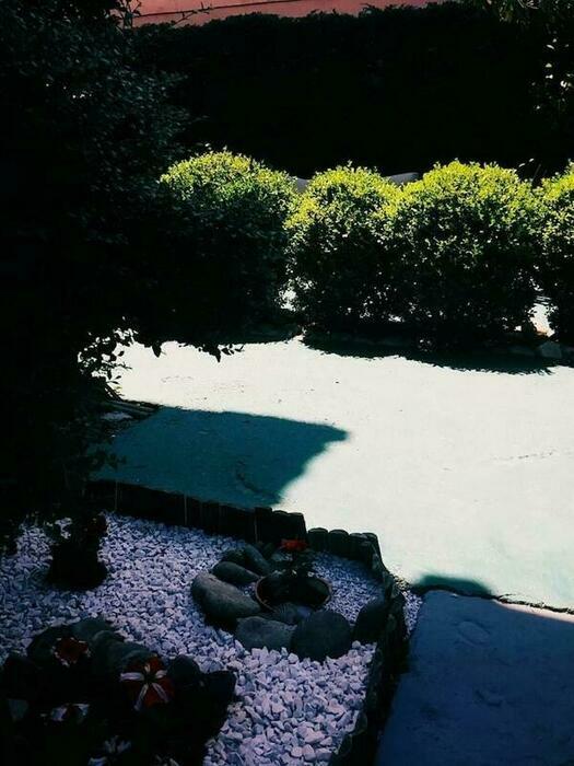 Image description