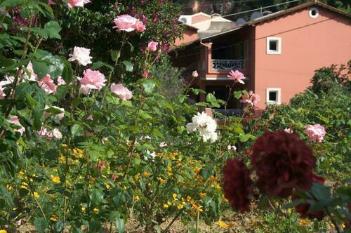 Image description