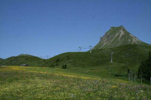 Image description