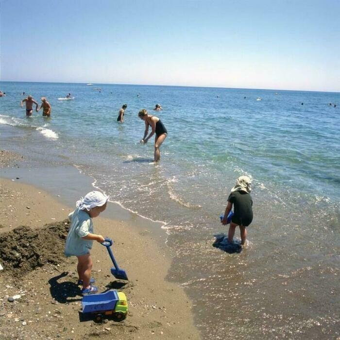 Image description