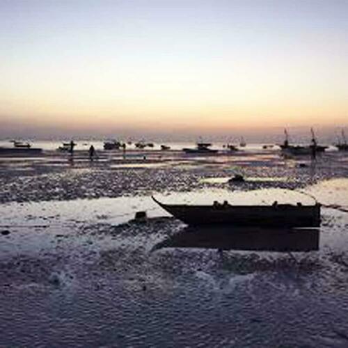 Image description