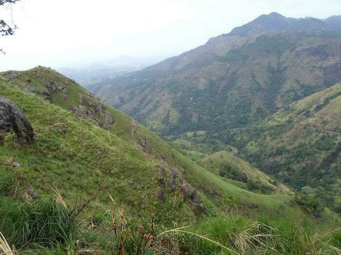Image description