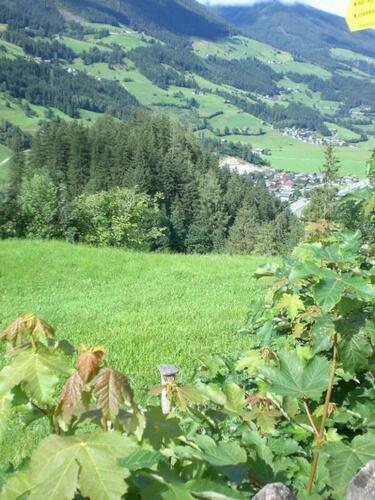 Image description