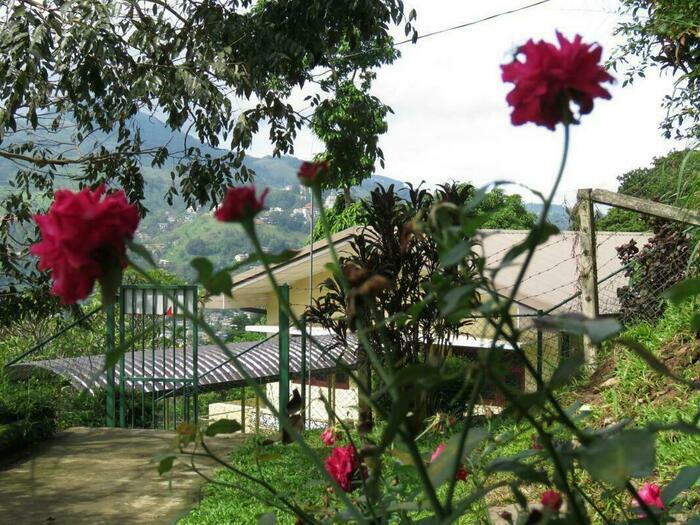 Image description