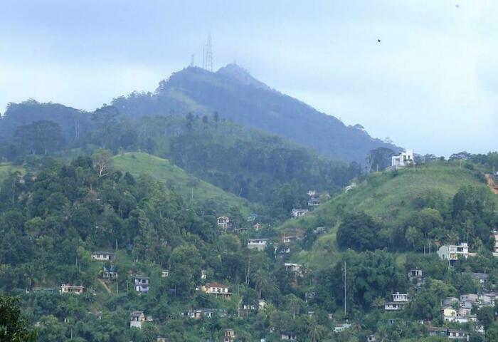 Image description