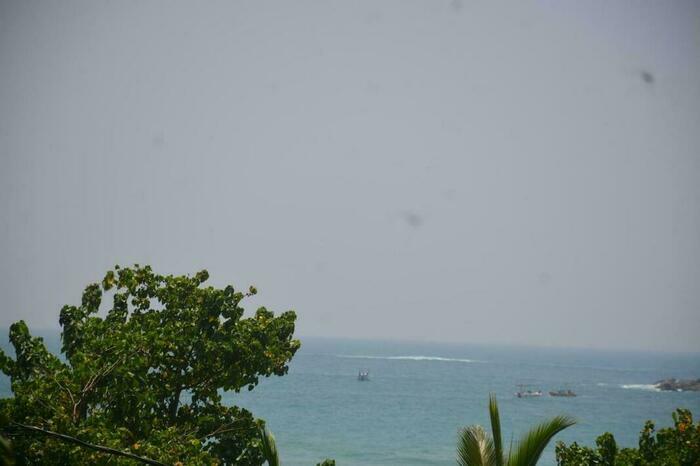 Image description