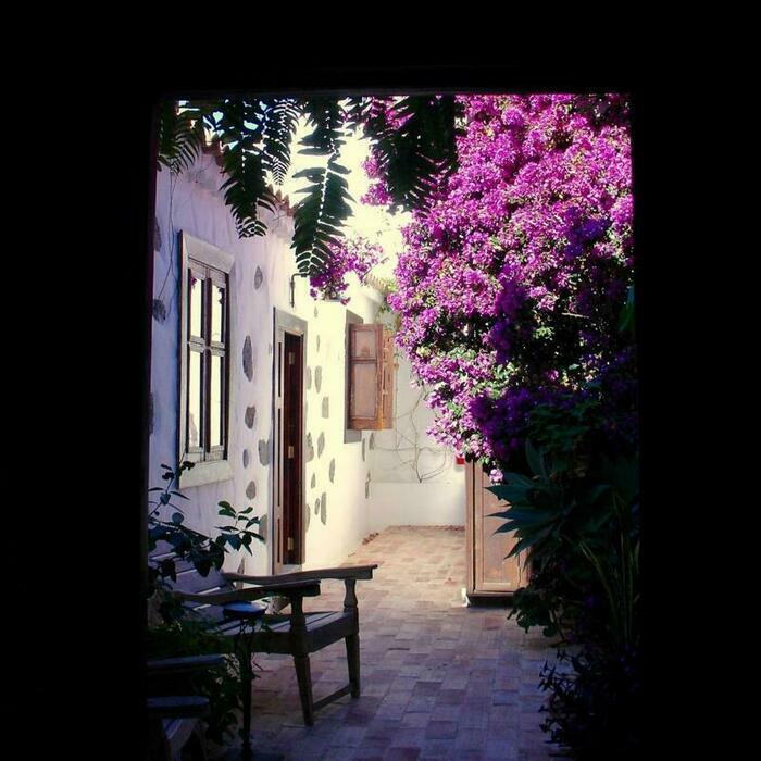 Image description