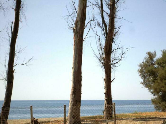 Image description