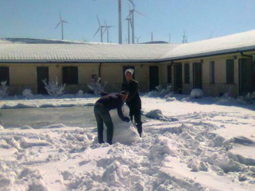 Image description