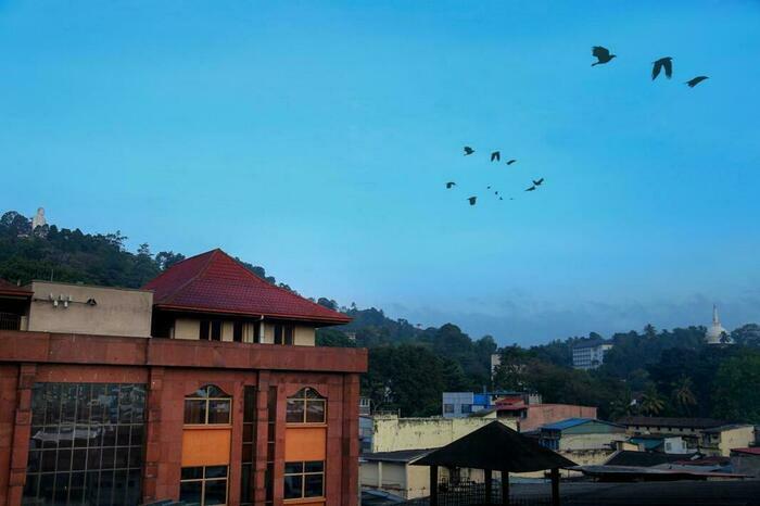 Image description