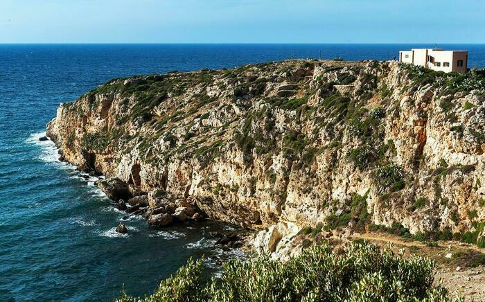 Image description