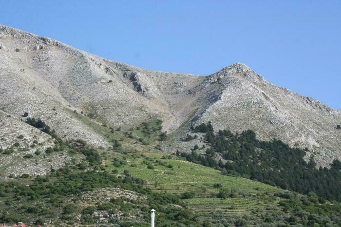 Image description