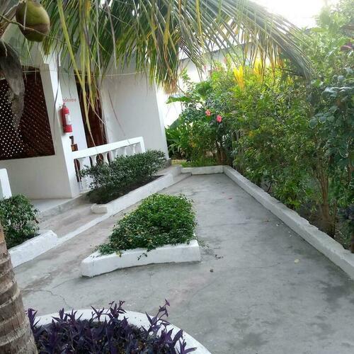 Image description