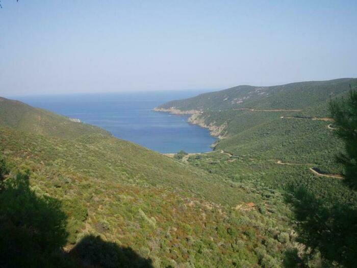 Image description