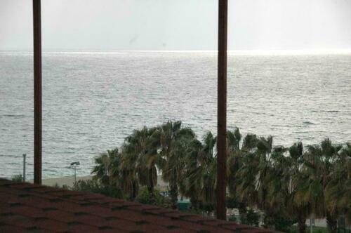 Image description