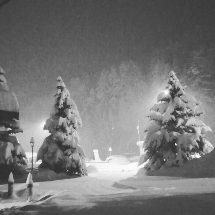 Image description
