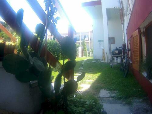 Image description