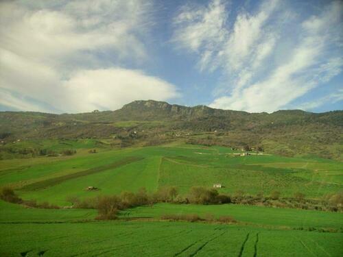 Image description