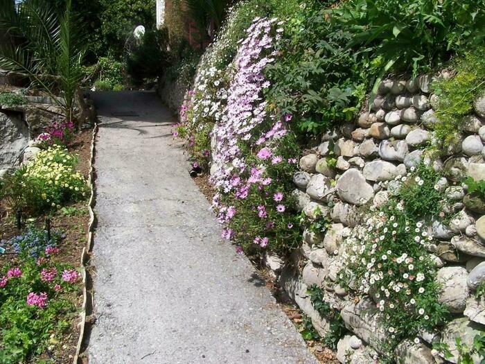 Image description