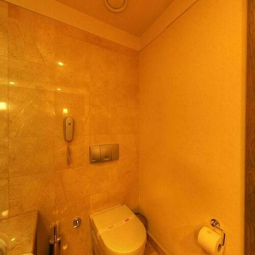 Image description